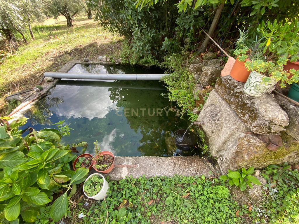 Quinta em Alpedrinha, Fundão - Image 10