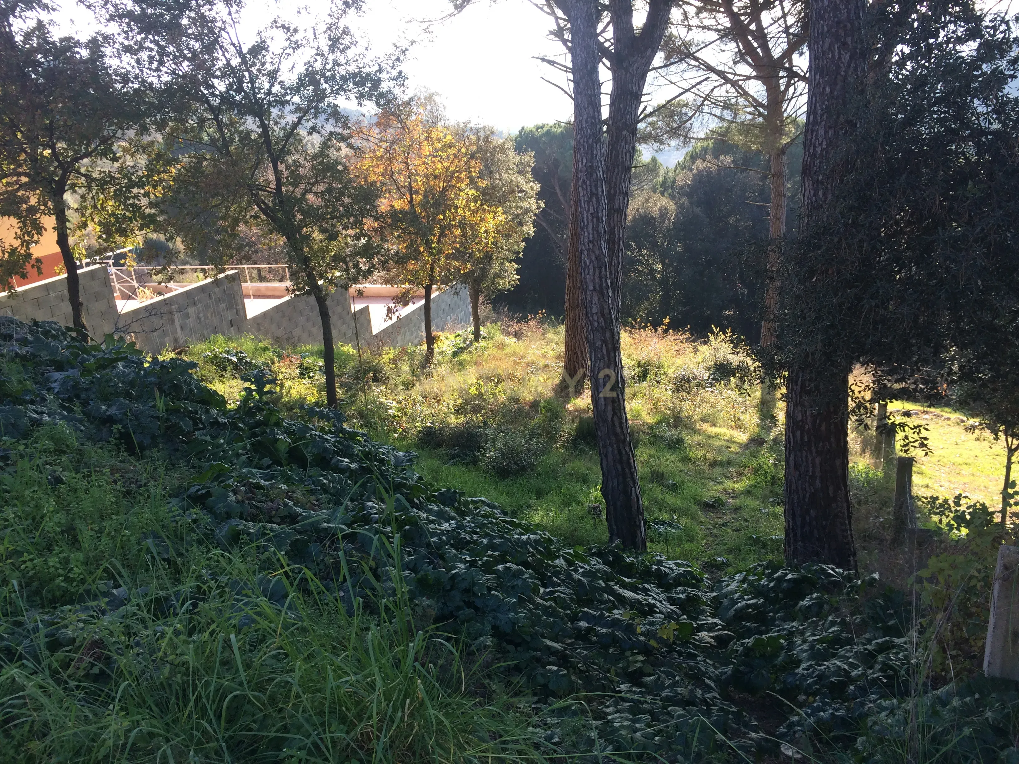 Terreno - Image 2