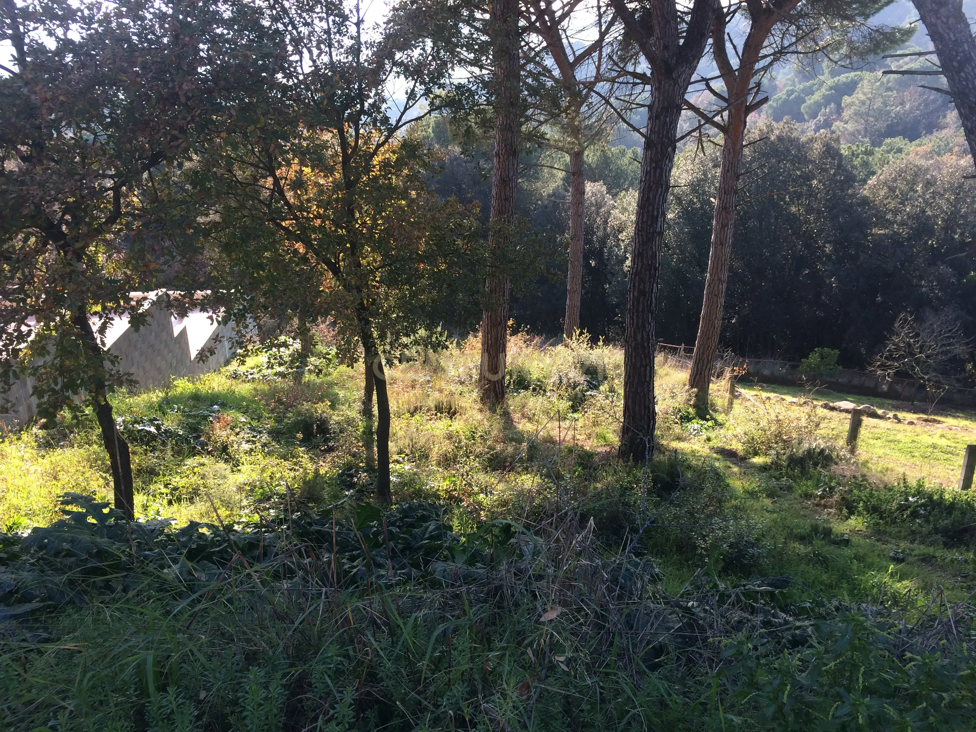 Terreno - Image 3