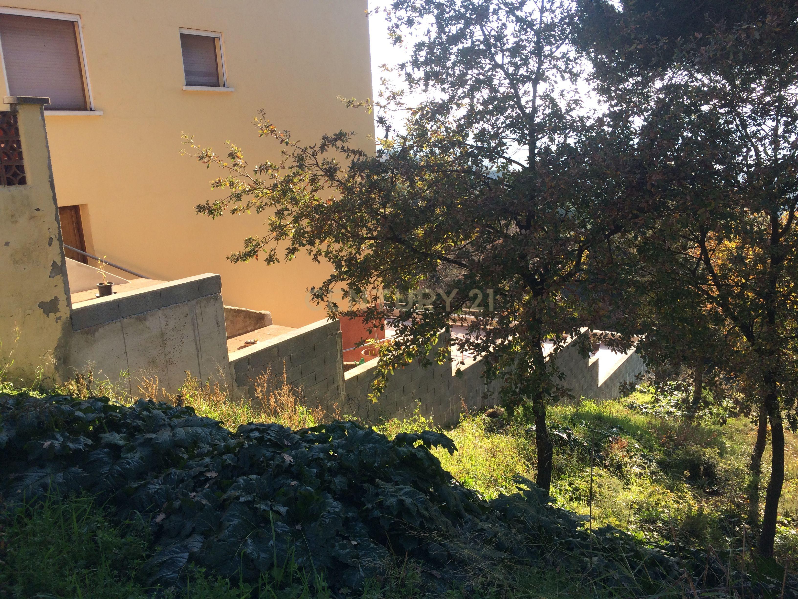 Terreno - Image 4