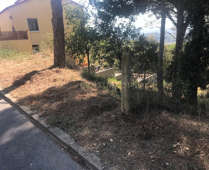 Terreno - Image 5