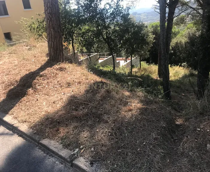 Terreno - Image 6