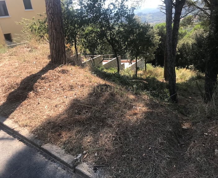 Terreno - Image 6