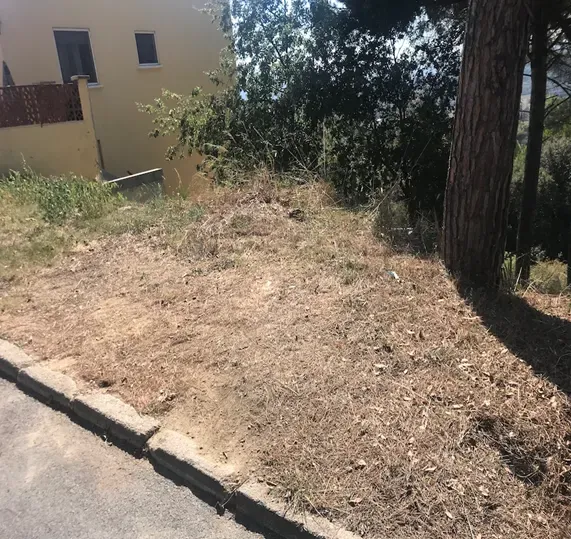 Terreno - Image 7