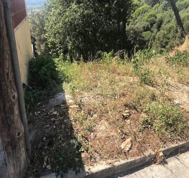 Terreno - Image 8