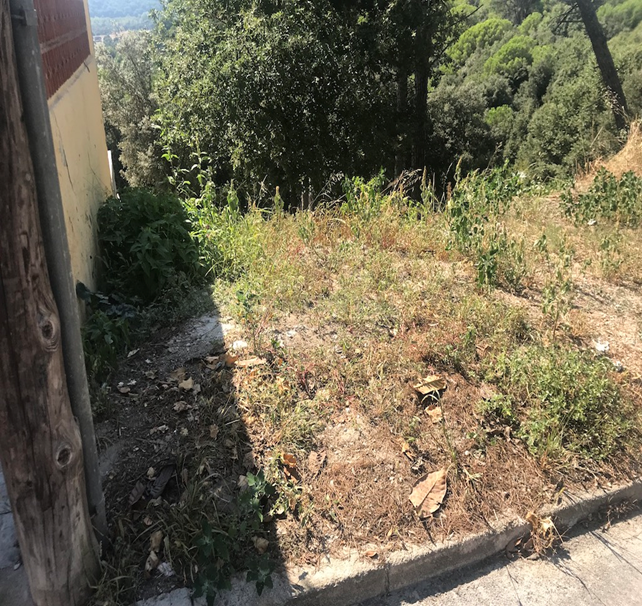 Terreno - Image 8