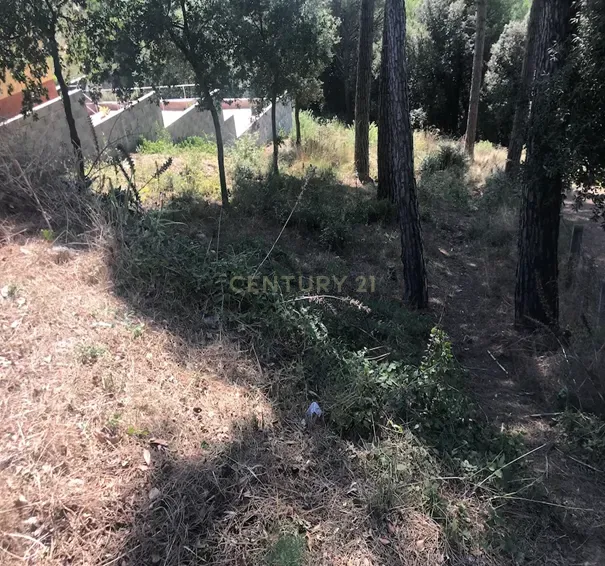 Terreno - Image 9