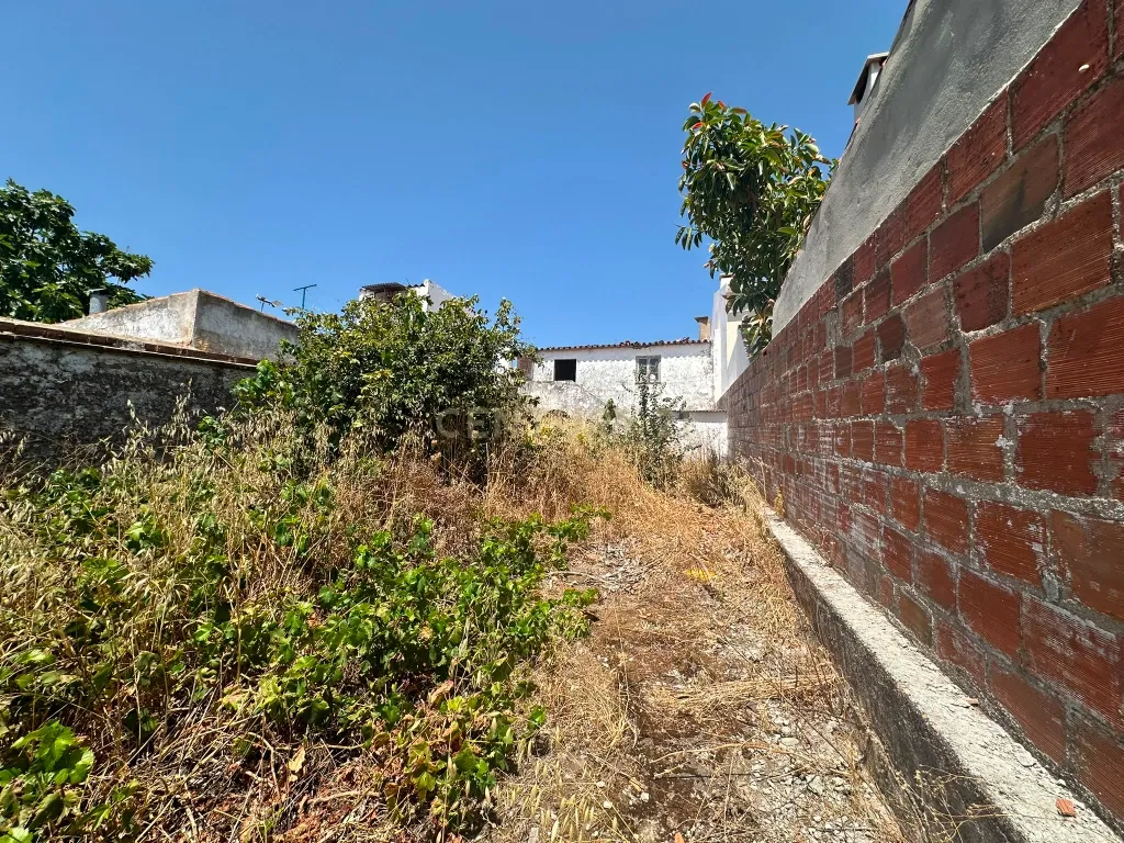 OPORTUNIDADE DE INVESTIMENTO EM MOMBEJA - T3 COM AMPLAS ÁREAS , QUINTAL E GARAGEM - Image 21