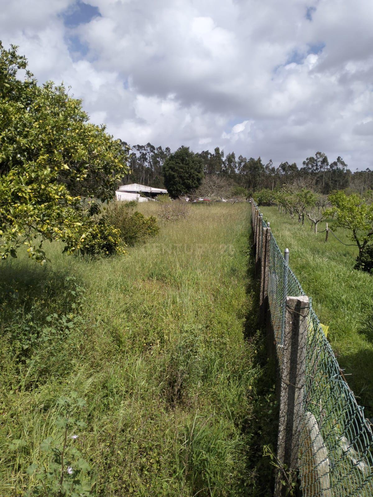 Moradia T3 na Camarneira - Image 3