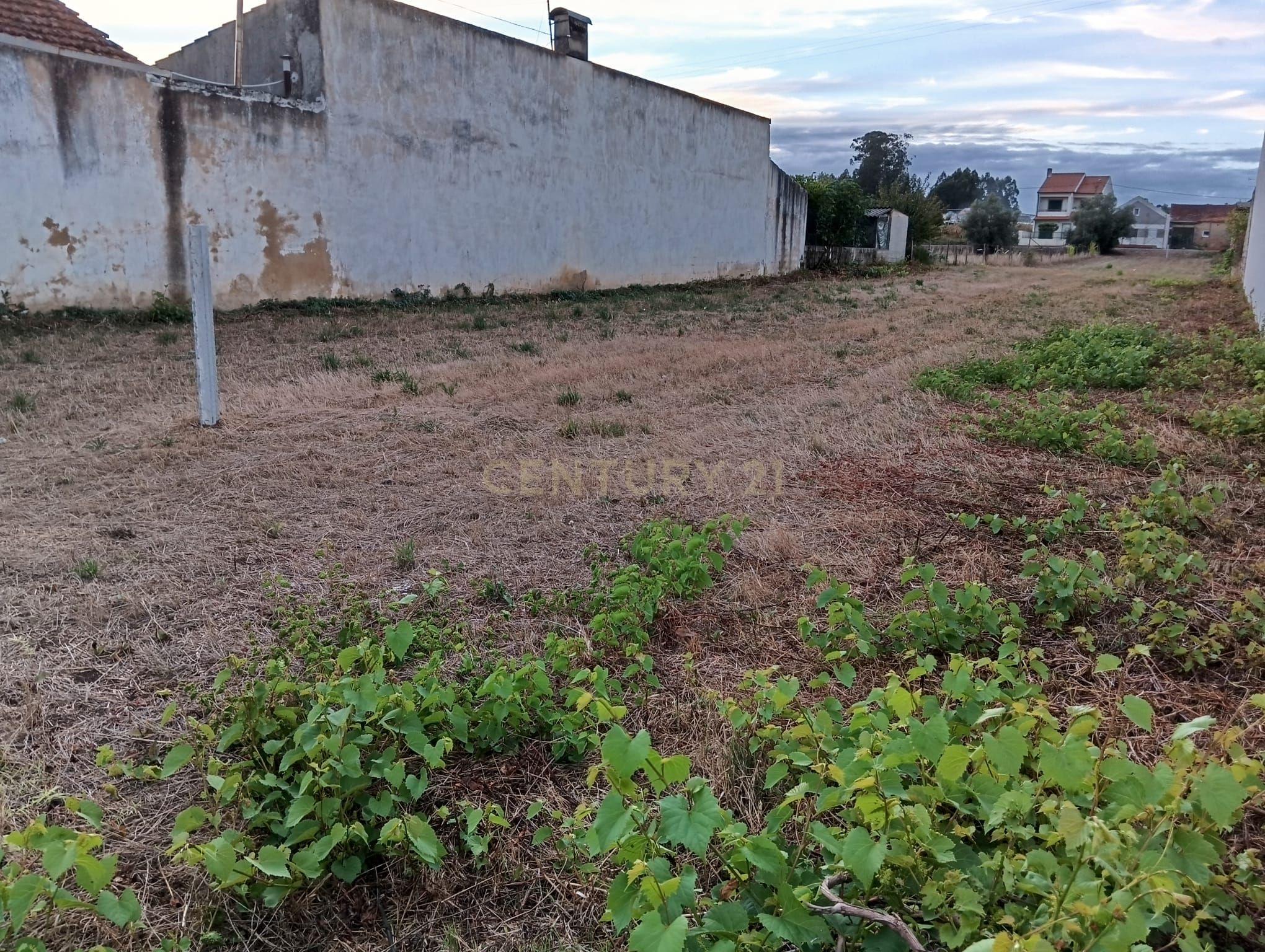 Fotografia 9 de terreno urbanizável com 1.789 m², em Fermentelos, concelho de Águeda.