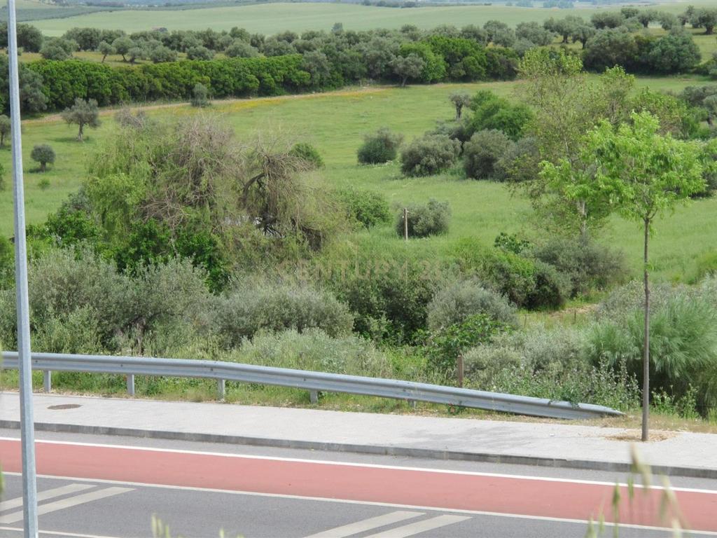 Terreno Elvas - Grande Potencial - Image 2