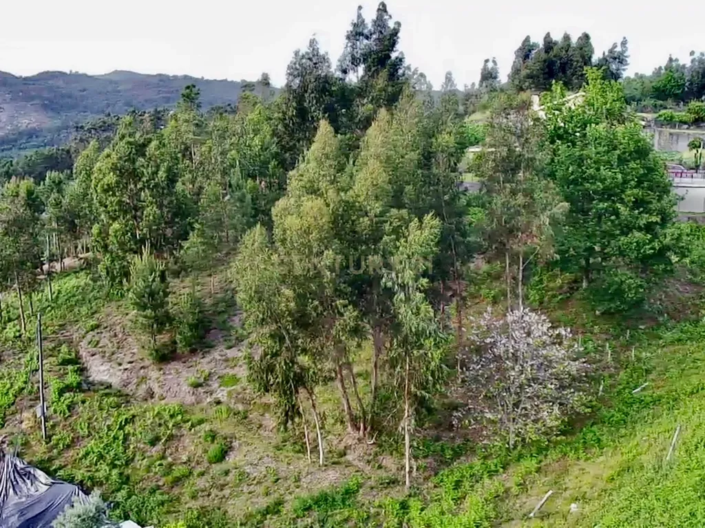 Terreno construção Póvoa de Lanhoso - Image 16