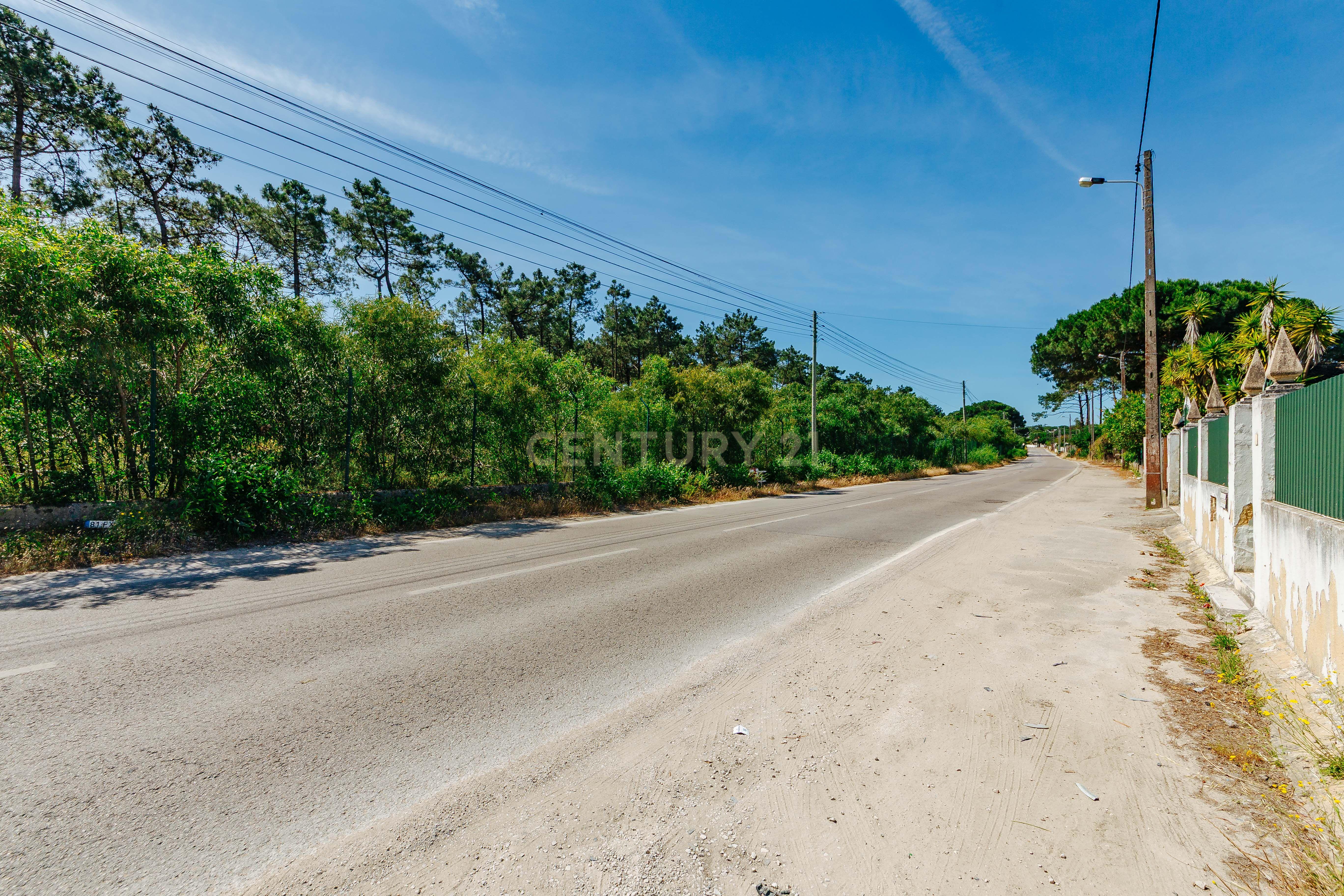 Fotografia 9 de Terreno Urbano na Charneca de Caparica | Pinhal da Aroeira