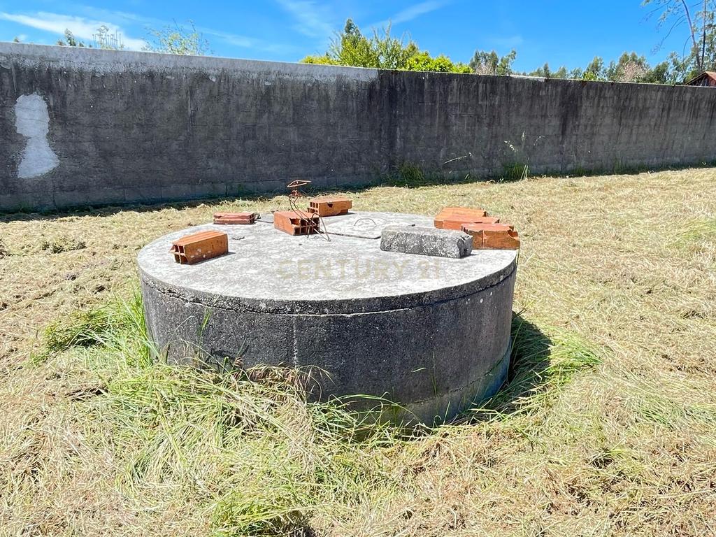 Terreno  para construção -Grou-Guia-Pombal - Image 3