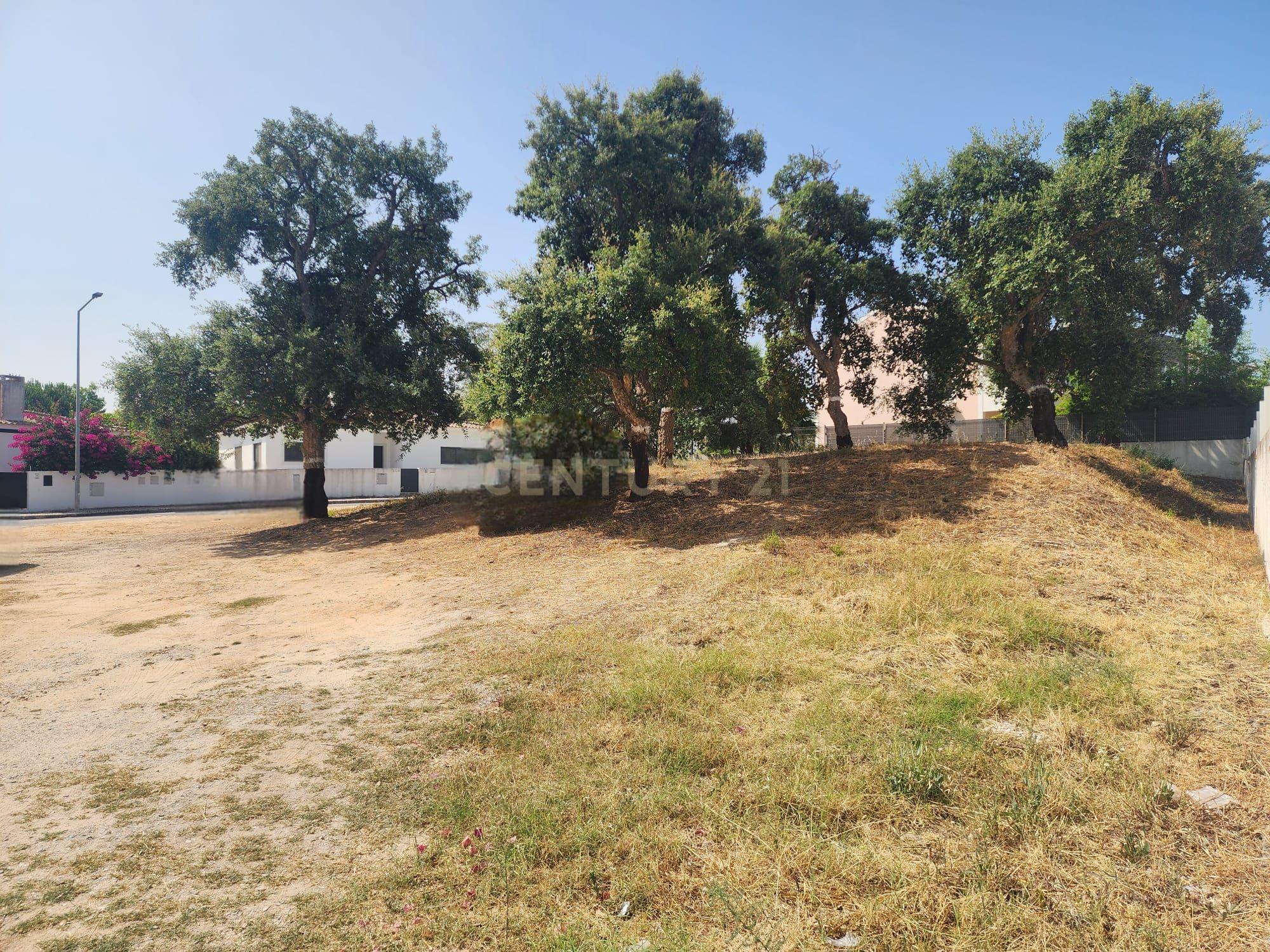 Fotografia 6 de Lote de gaveto na Rua dos Eucaliptos - Quinta da Serralheira, Setúbal