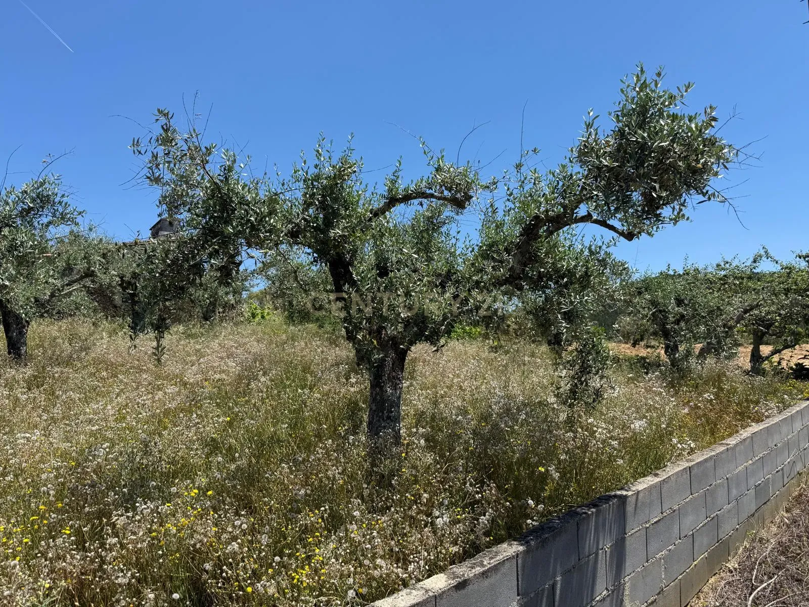 Moradia T1 à venda em Alegrete, Portalegre — foto 21