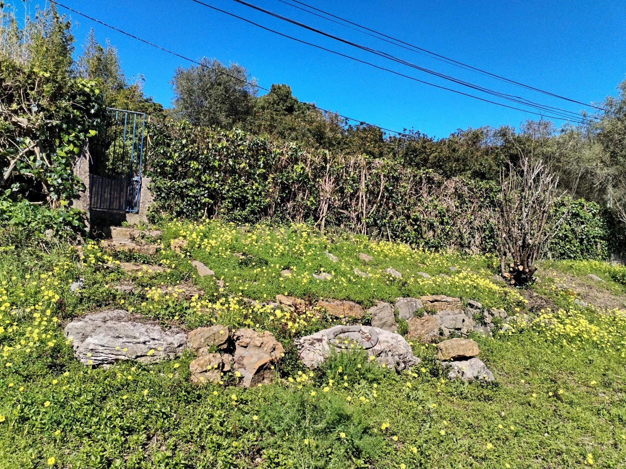 Fotografia 8 de Terreno Urbano com Alvará de Loteamento | Lugar do Carrascal, Sintra