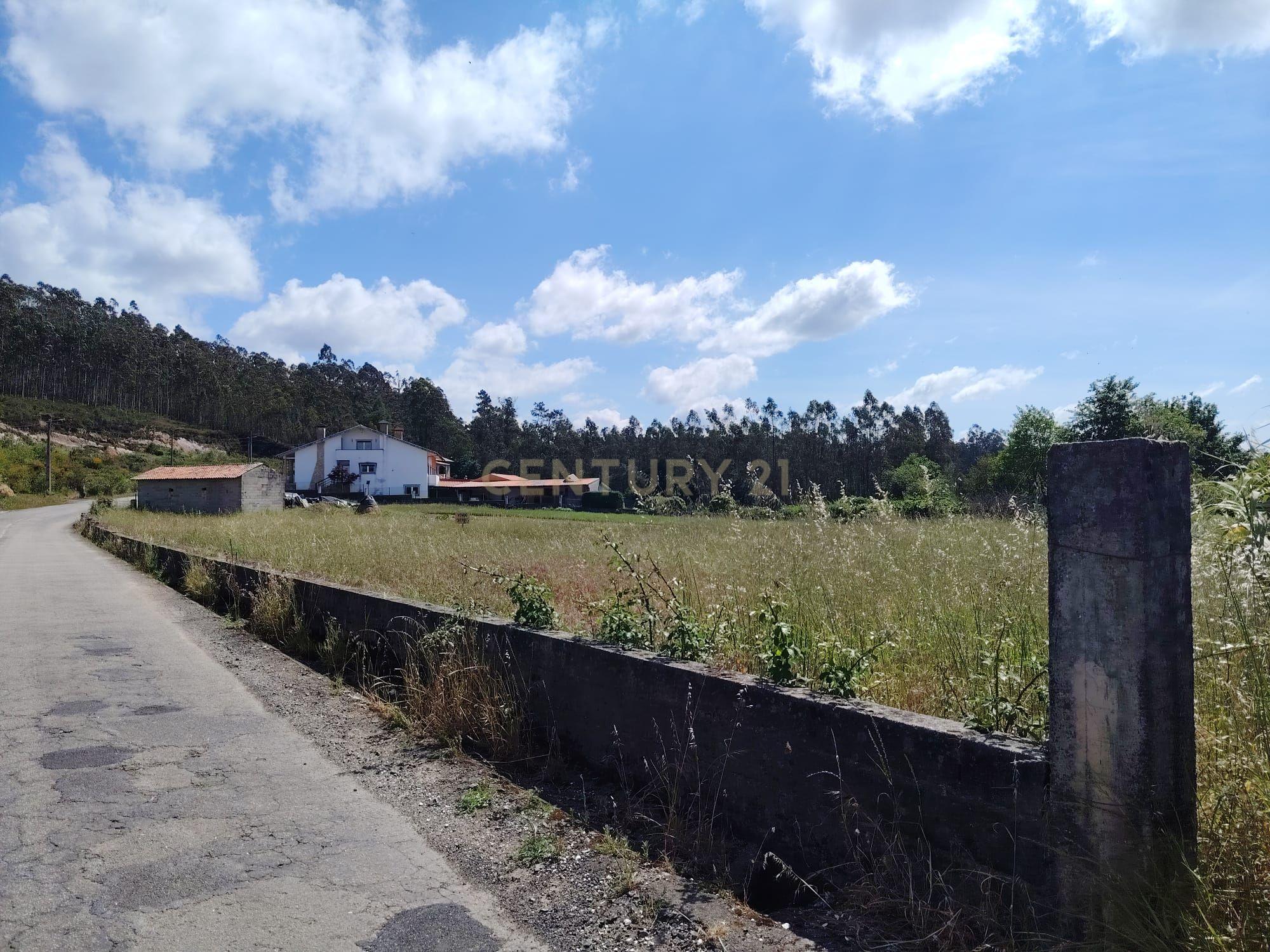 Fotografia 5 de Terreno Urbano em Alquerubim, Albergaria a Velha - 2140m²