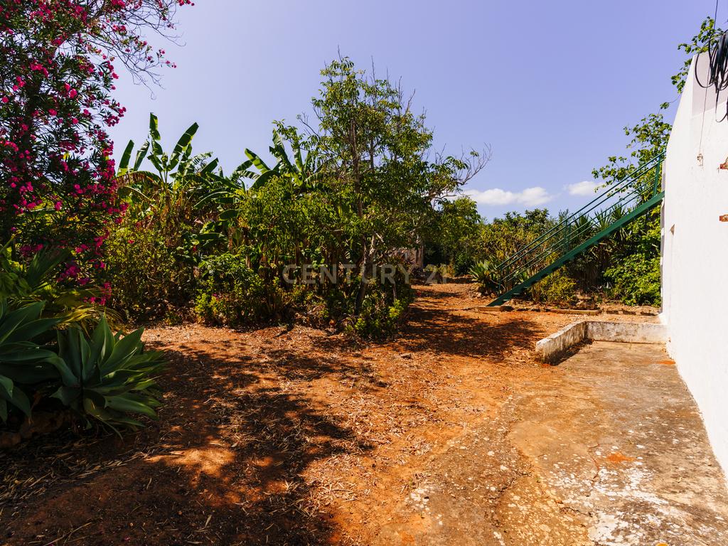 Quinta com 8660 m2 com Moradia, piscina e dois terraços panorâmicos em Silves - Image 5