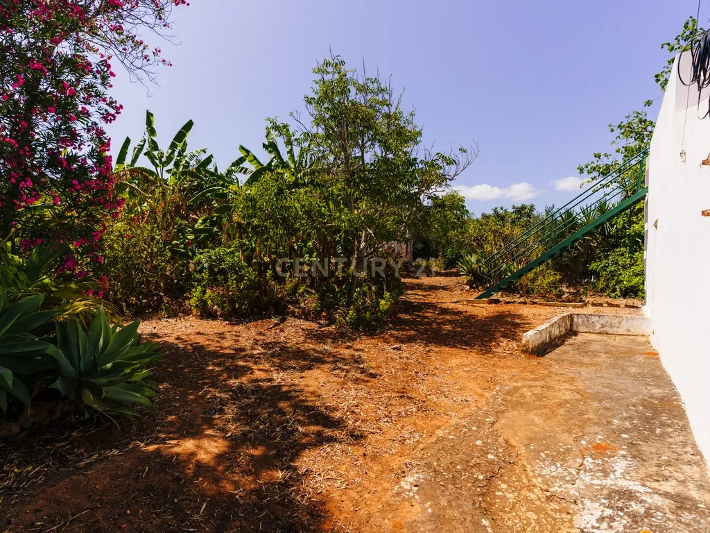 Quinta com 8660 m2 com Moradia, piscina e dois terraços panorâmicos em Silves - Image 5