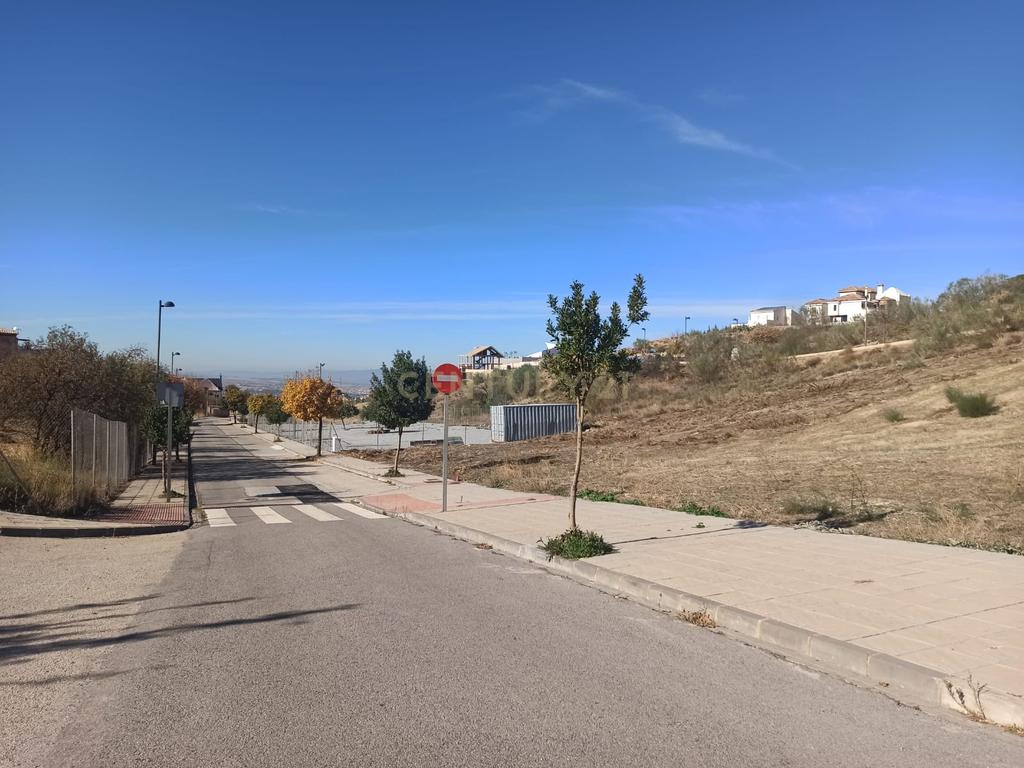 undefined - Image 8