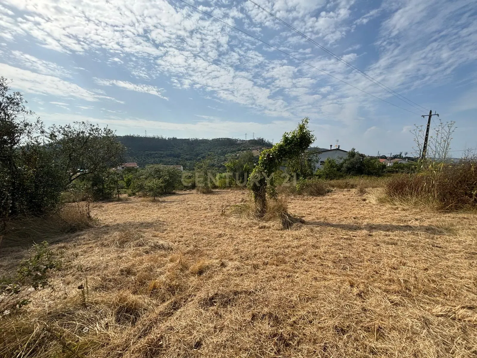 Fotografia 7 de Terreno com viabilidade construtiva em Santiago de Litém - Localização Central e Acessível