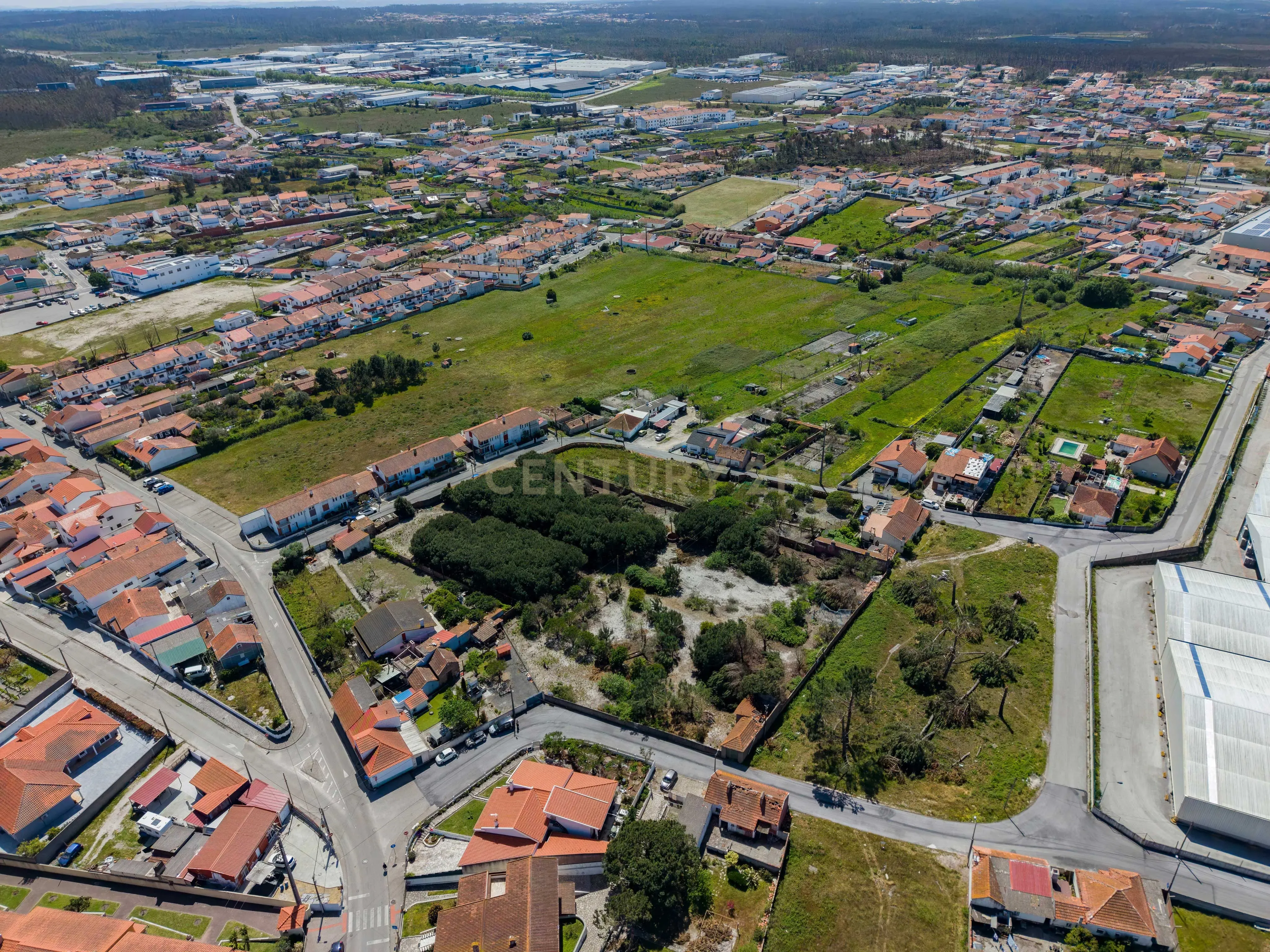Fotografia 7 de Terreno com potencial de desenvolvimento urbanístico | 6.803 m² | Comeira – Marinha Grande