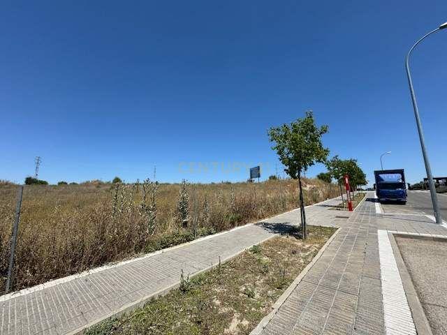 Terreno - Image 11