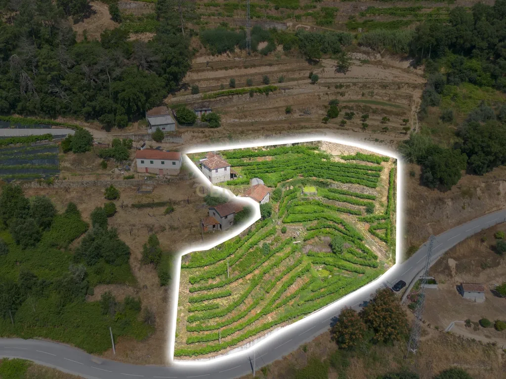 Quintinha com 2 casas em pedra para recuperar + 2 terrenos com vinhas-( 8.210m2 ) -Douro Vinhateiro! - Image 12