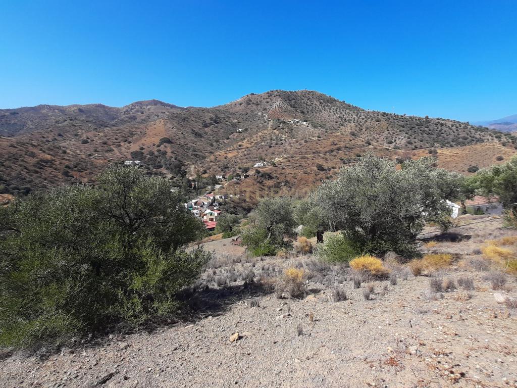 QUINTA RÚSTICA COM 11.000 m² DE TERRENO, PRIVACIDADE E VISTAS PANORÂMICAS EM ÁLORA - Image 22