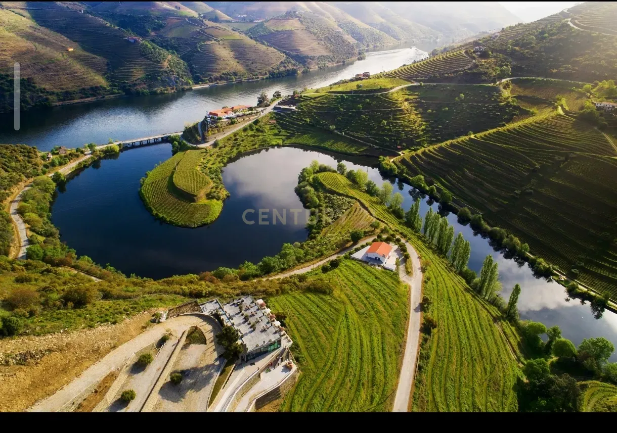 Fotografia 8 de Propriedade de origem secular no Alto Douro Vinhateiro (UNESCO), junto às Termas do Moledo