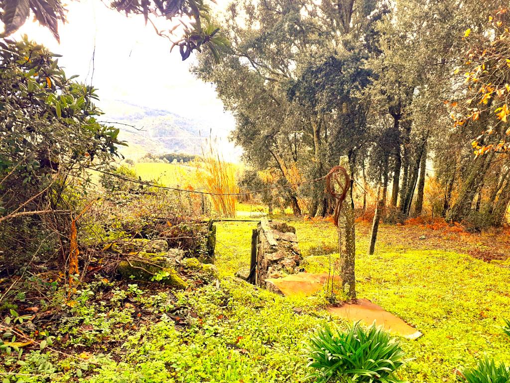 Belíssima ruína em terreno verdejante com vista deslumbrante para o Rio Douro, Baião, Porto - Image 17