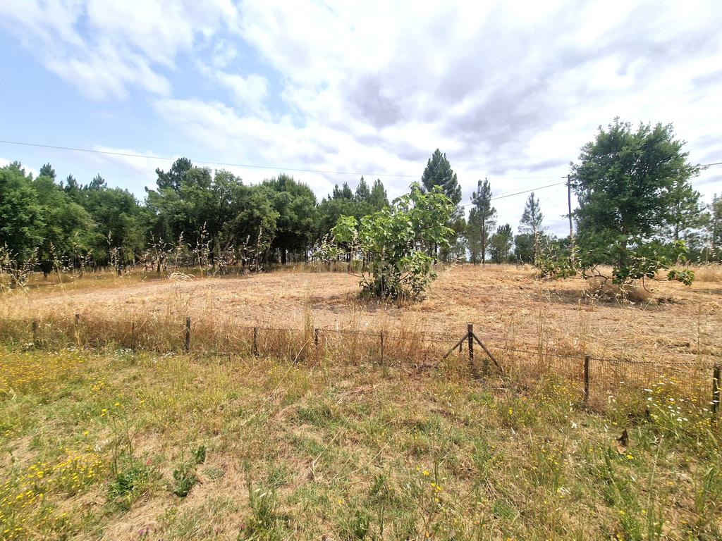 Monte/Terreno em Santiago do Cacém, com Vista Campestre e Árvores Frutíferas - Image 31