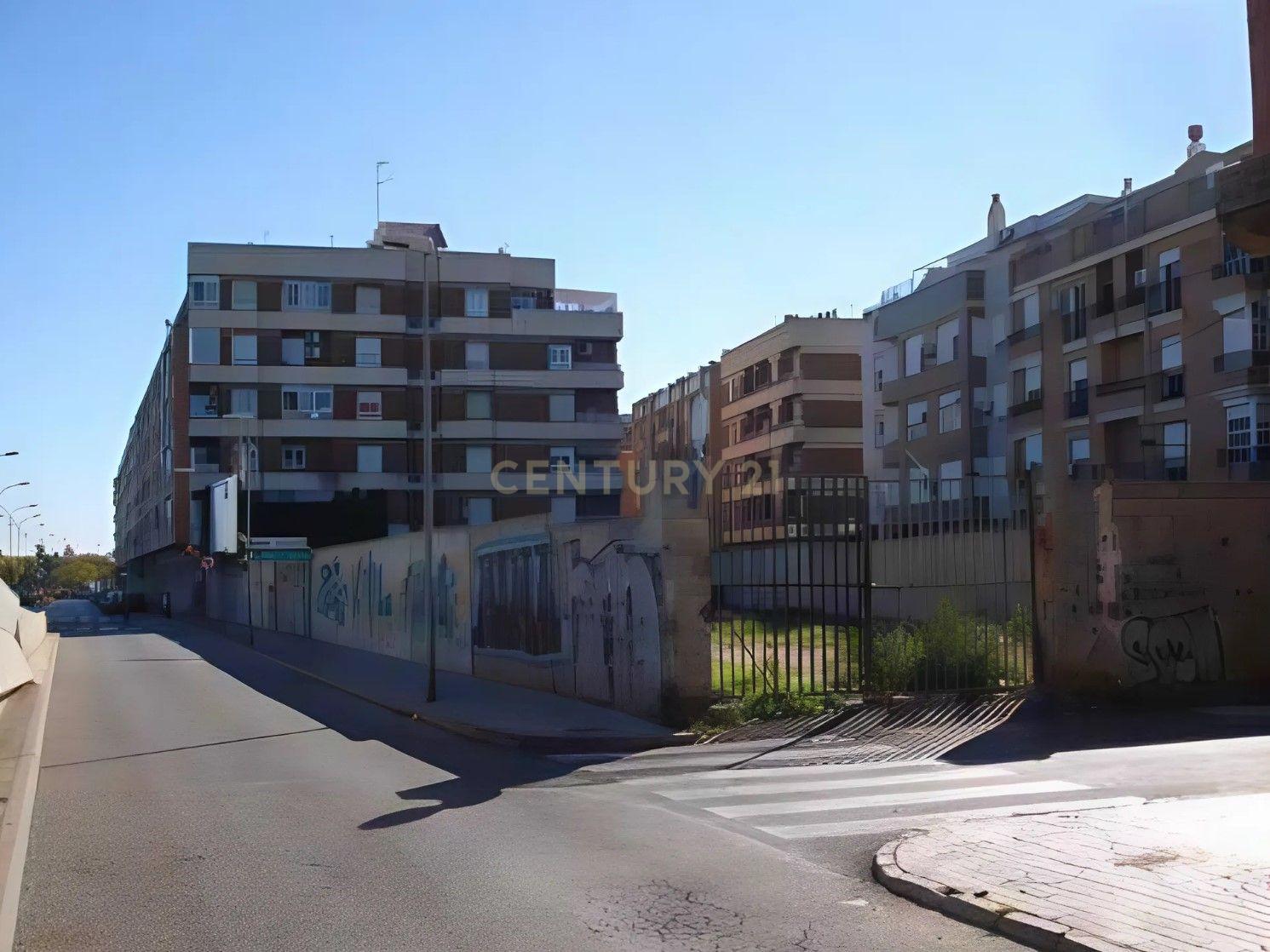 Terreno - Image 16