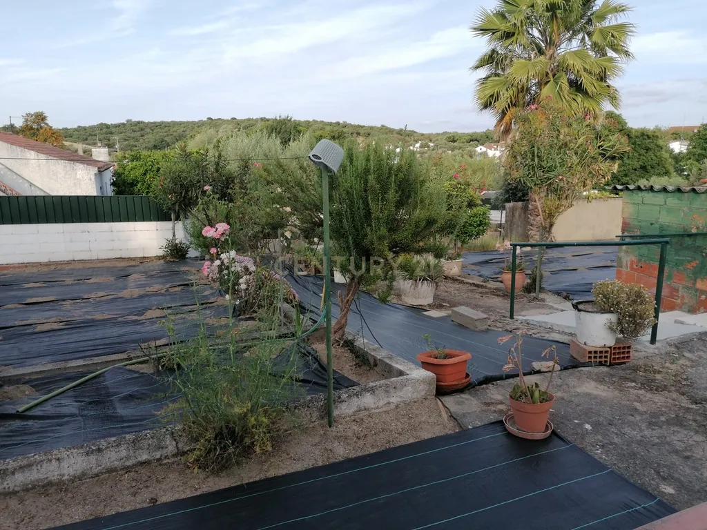 Moradia Térrea T3 com quintal e sótão, Guadalupe, Évora - Image 32