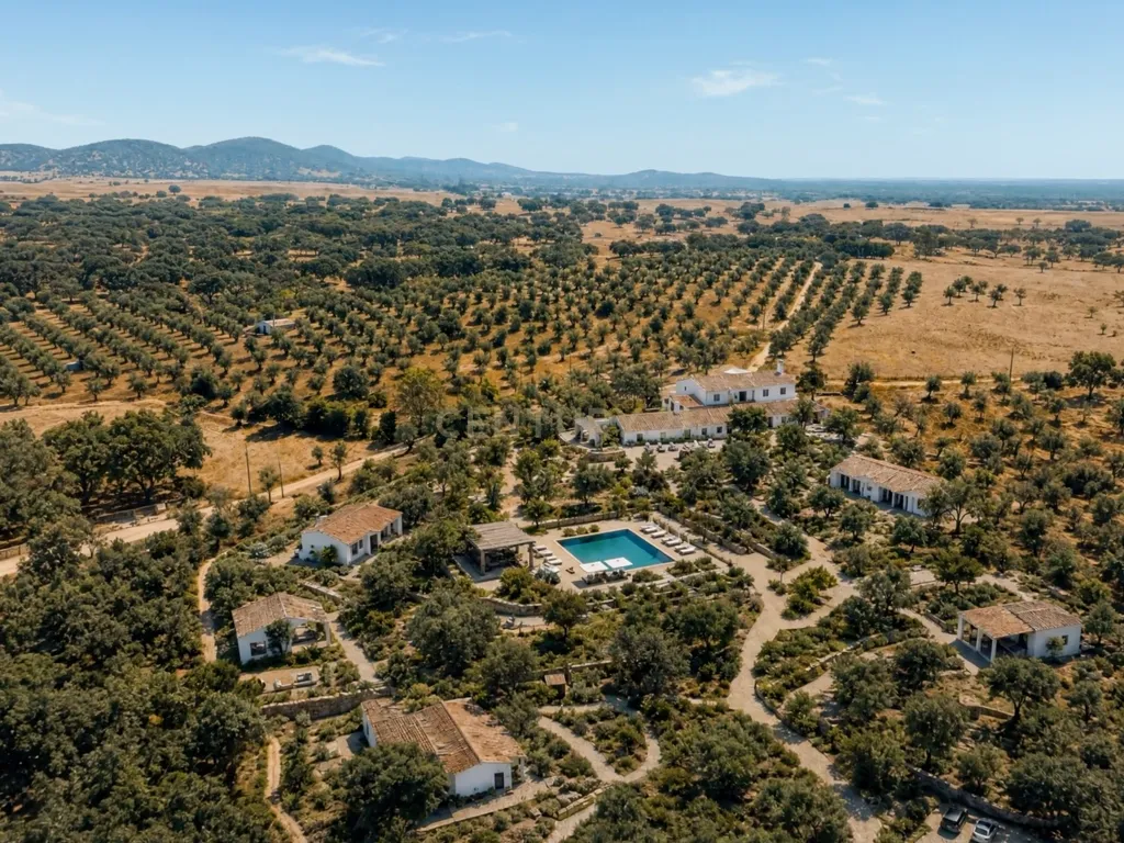 HERDADE COM 5,9 HECTARES, MORADIA E CAVALARIÇA | SANTIAGO DO ESCOURAL - Image 9