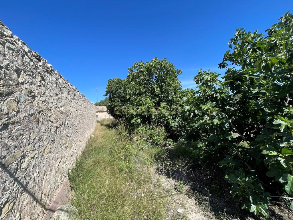 Terreno - Image 11