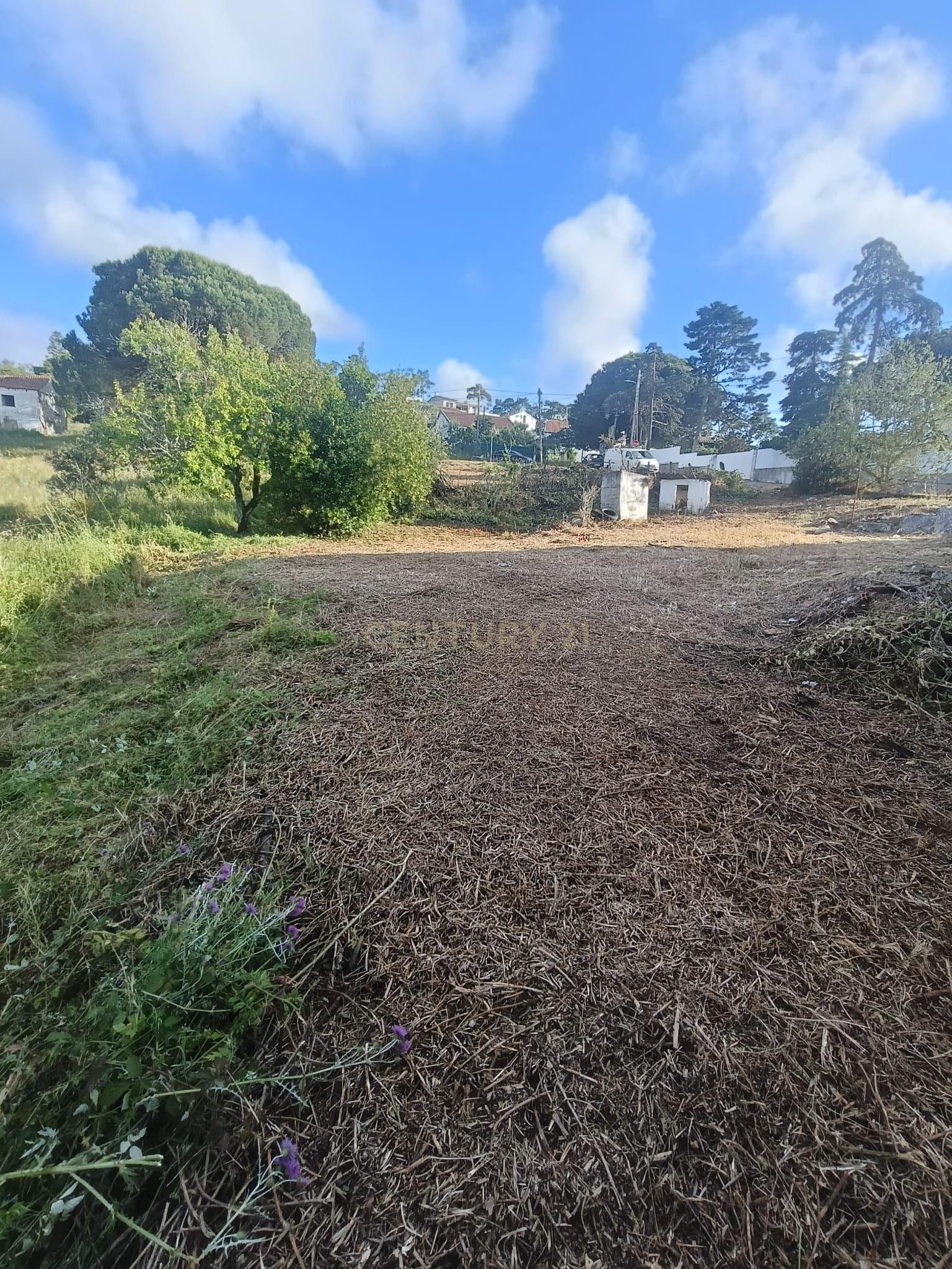 Fotografia 9 de Terreno com 1.225 m² em Sesimbra