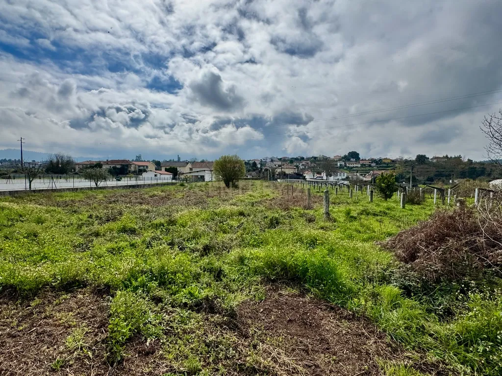 Terreno com 3600m2 - 🍇 Onde o Coração do Alvarinho Encontra a Serenidade do Rio Minho! - Image 10