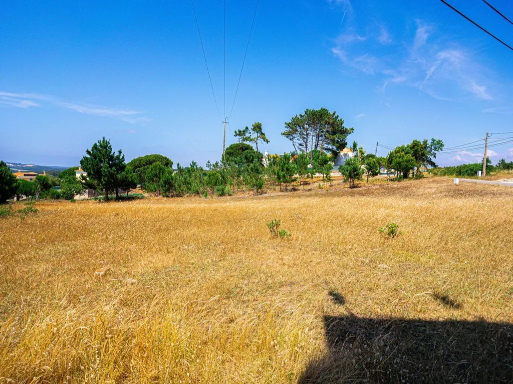 Terreno 4 910m2 | Nadadouro | Caldas da Rainha - Image 3