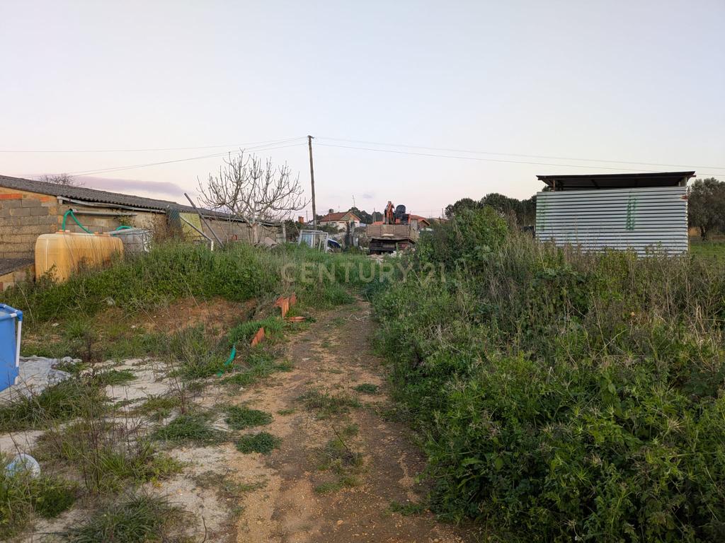 Casa Rural em Oliveira do Bairro com Vista Campestre - Image 11