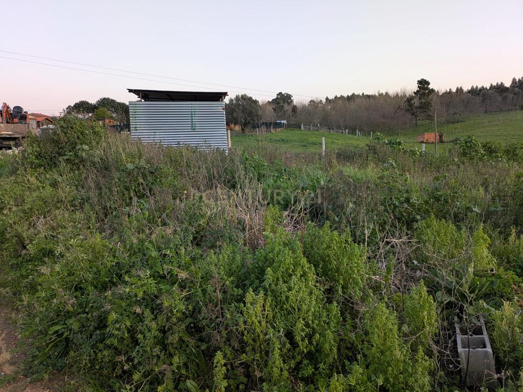 Casa Rural em Oliveira do Bairro com Vista Campestre - Image 10