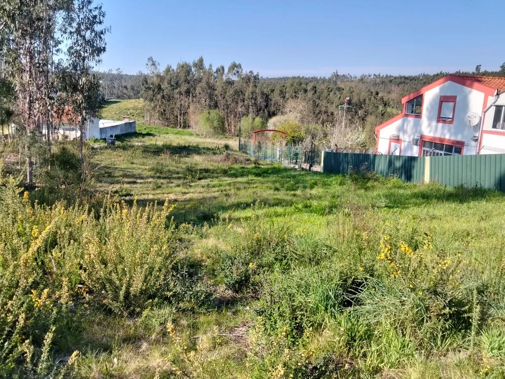 Terreno Florestal em Aveiro com Vista Campestre - Image 6