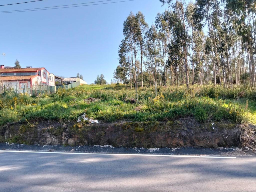 Terreno Florestal em Aveiro com Vista Campestre  - Image 4