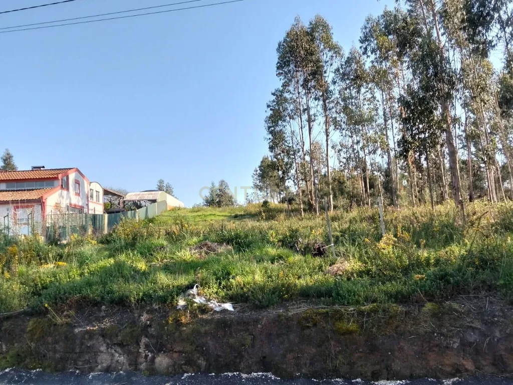 Terreno Florestal em Aveiro com Vista Campestre - Image 1