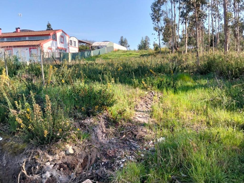 Terreno Florestal em Aveiro com Vista Campestre  - Image 9