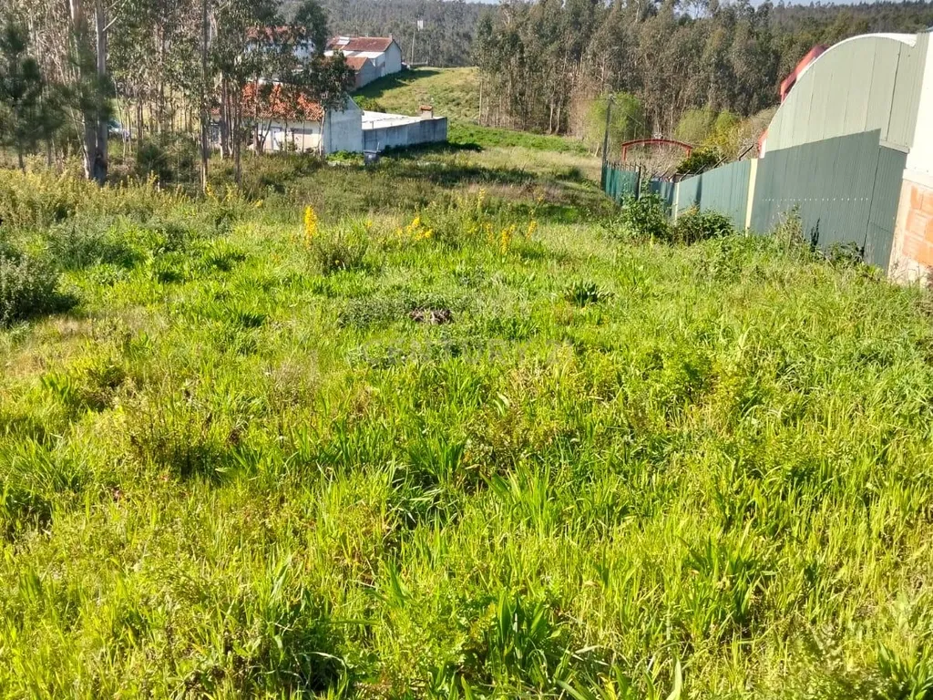 Terreno Florestal em Aveiro com Vista Campestre - Image 10