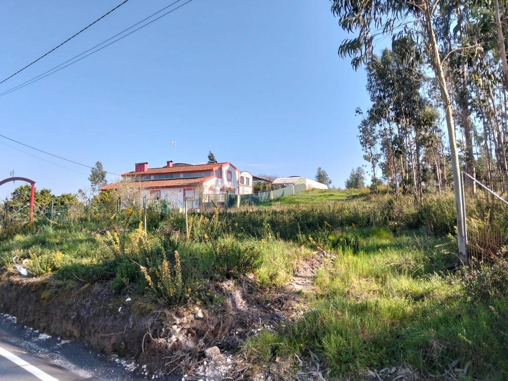 Terreno Florestal em Aveiro com Vista Campestre  - Image 3