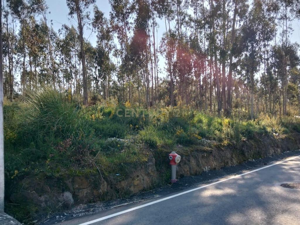 Terreno Florestal em Aveiro com Vista Campestre  - Image 7