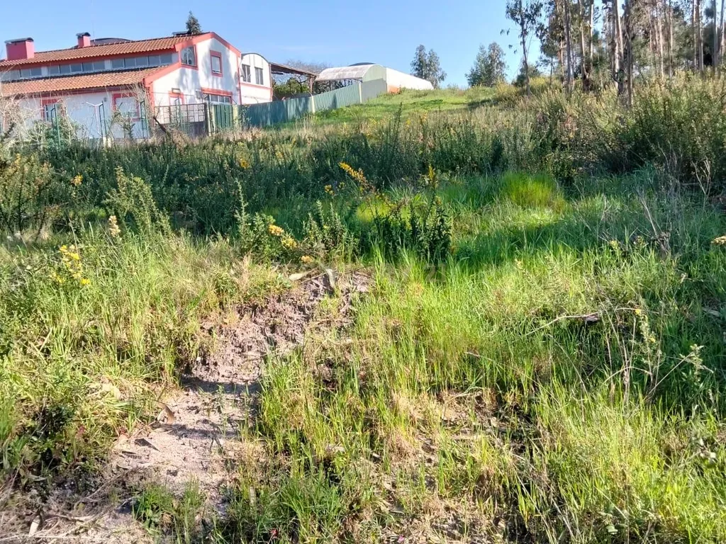 Terreno Florestal em Aveiro com Vista Campestre - Image 8